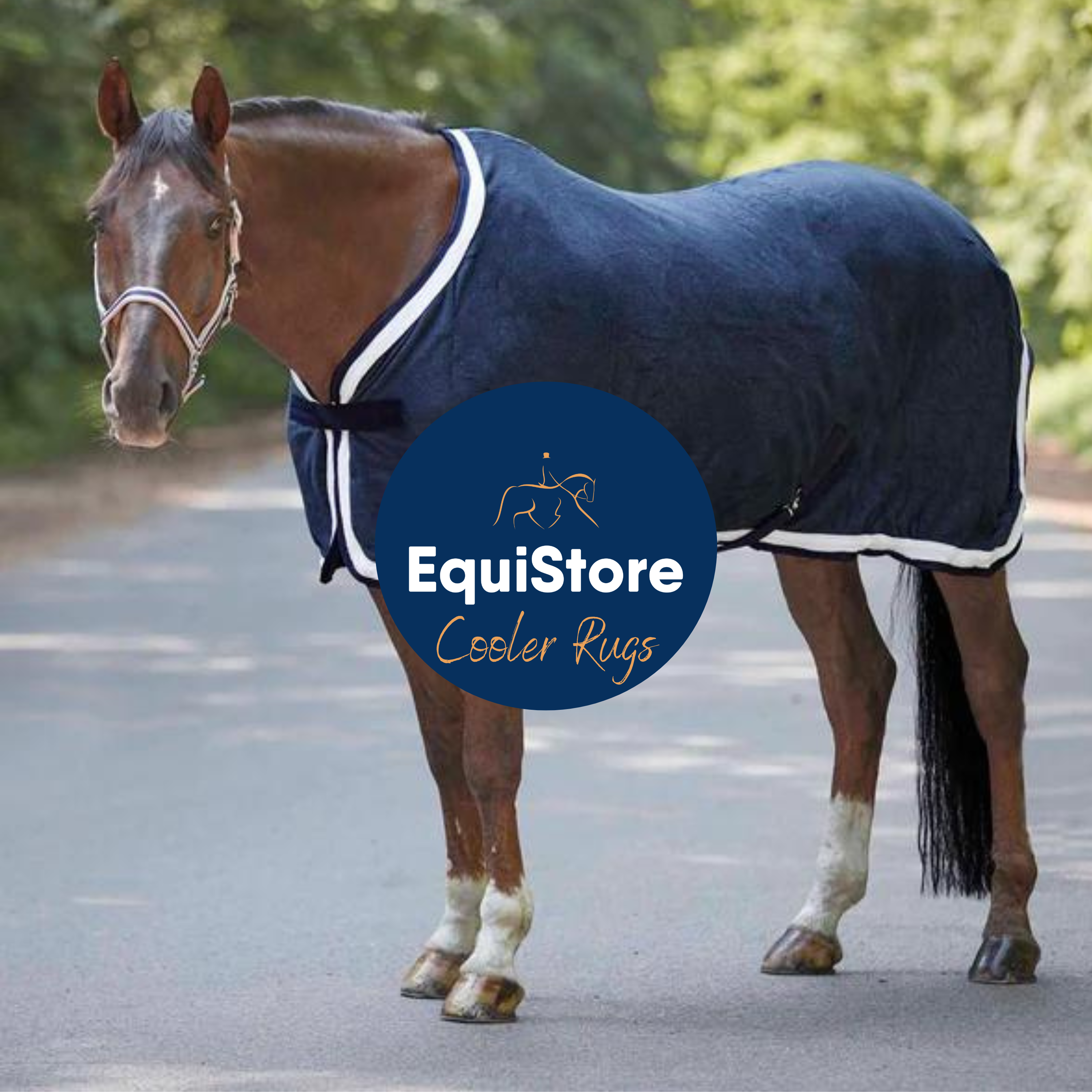 A wide selection of fleece rugs, sweat sheets, cooler sand travel rugs for your horse or pony, available in Ireland from Equistore. 