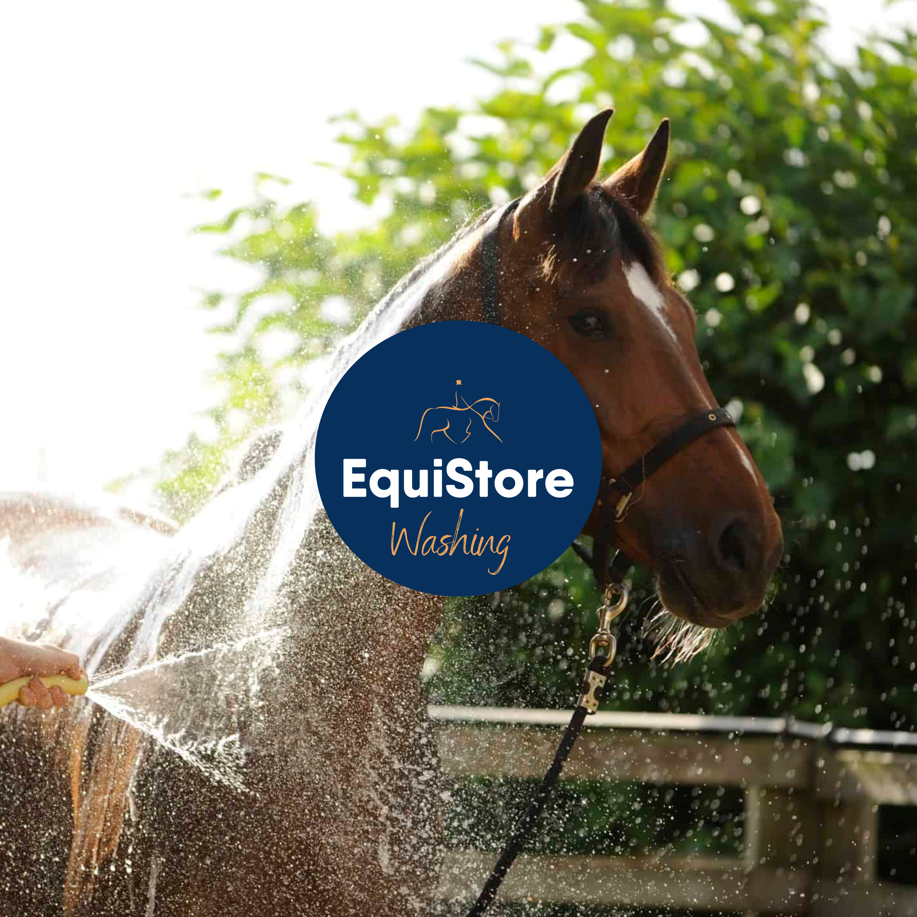 A selection of grooming products for shampooing and washing your horse or pony, available in Ireland from Equistore. 
