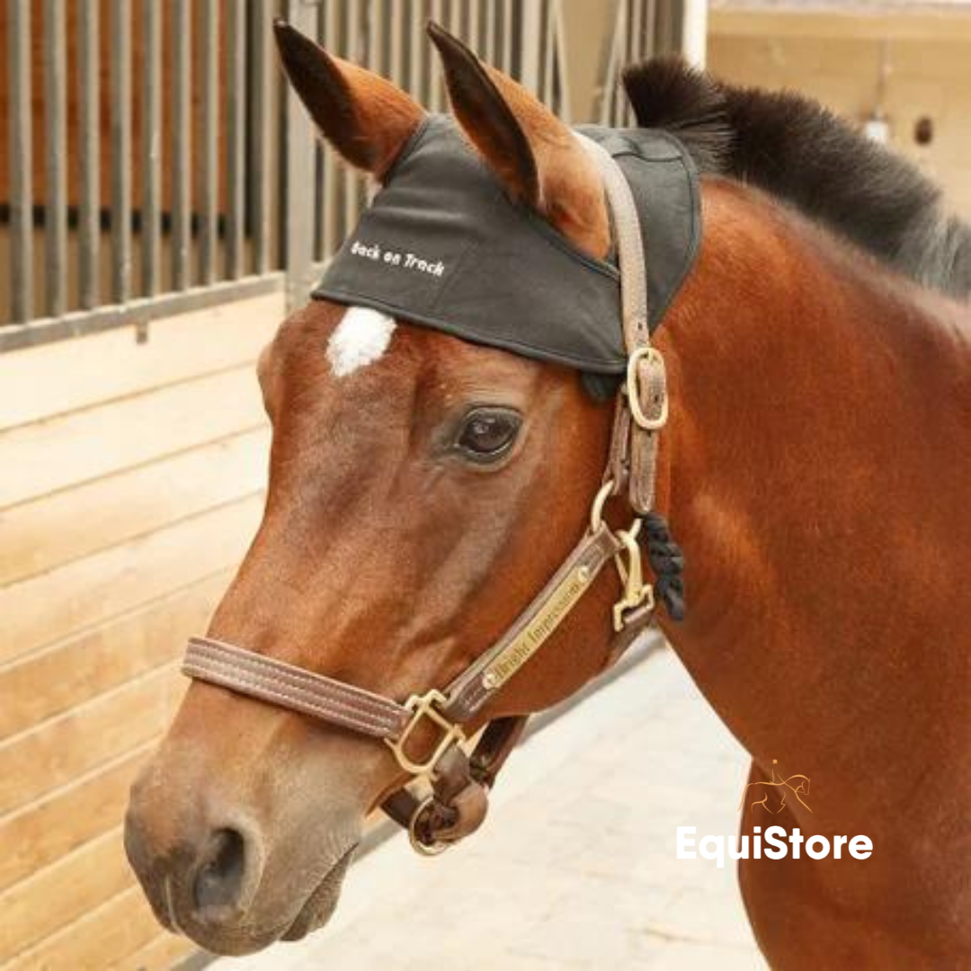 Back On Track - Therapeutic Poll Cap for horses