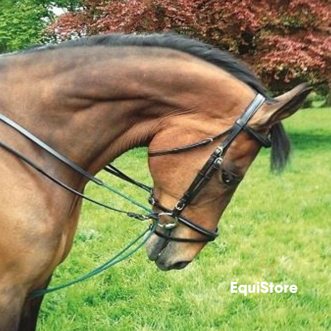 Celtic Equine leather Draw Reins for horses 