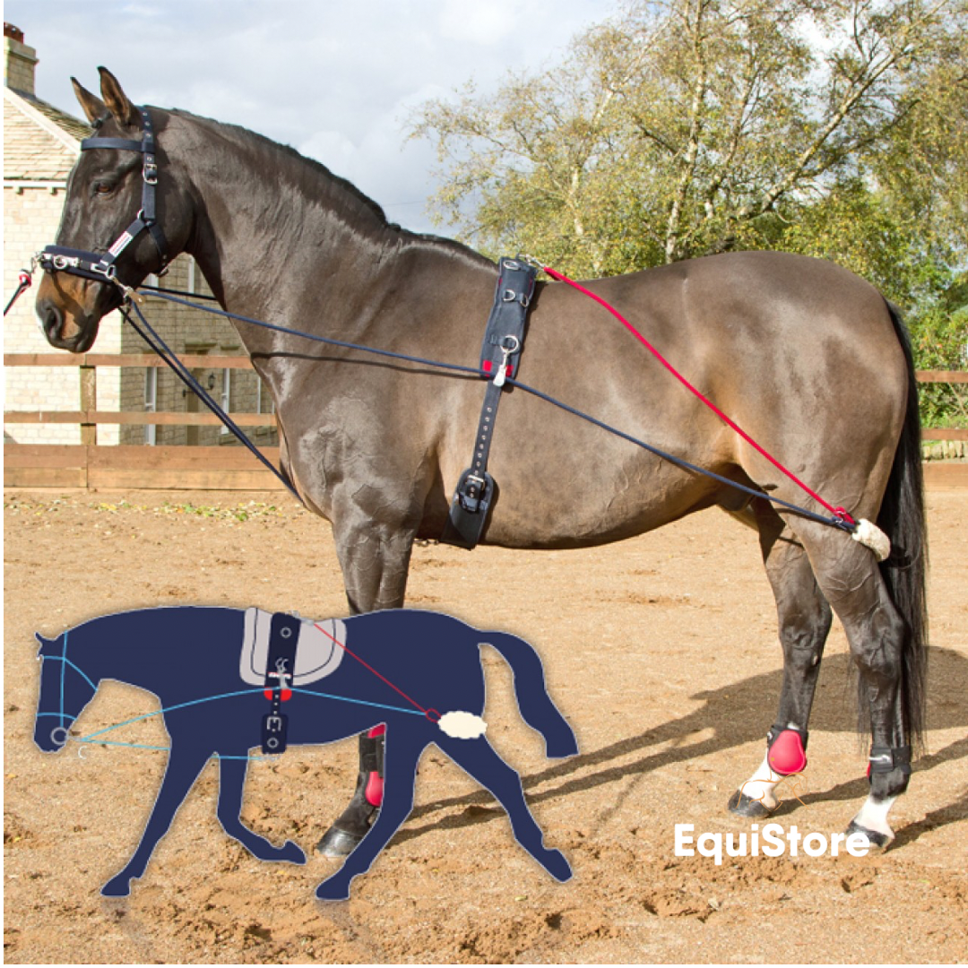 John Whitaker Training System and Roller for schooling your horse in an outline