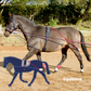 John Whitaker Training System and Roller for schooling your horse in an outline