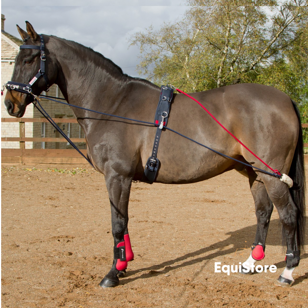 John Whitaker Training System and Roller for schooling your horse in an outline