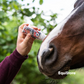 Leovet Power Phaser Roll On for protecting horses from flies and biting insects
