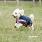Mackey Buster waterproof dog rug