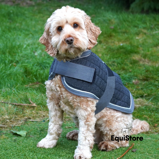 Mackey Thermo Dog Rug, warm dog coat 