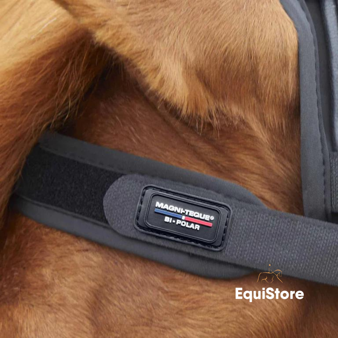 Magni-Teque Magnetic Browband for horses