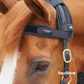 Magni-Teque Magnetic Browband for horses