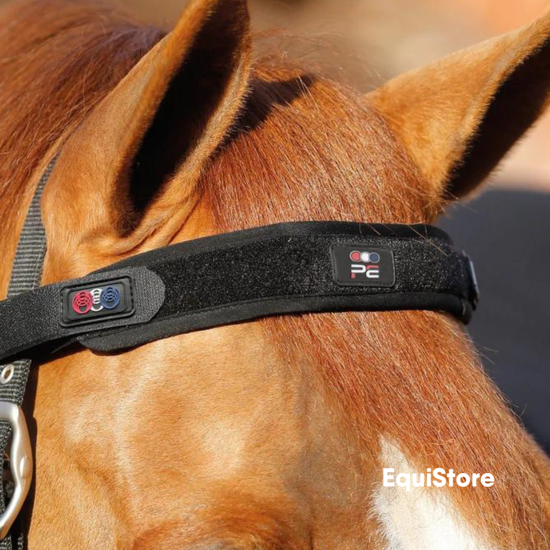 Magni-Teque Magnetic Browband for horses