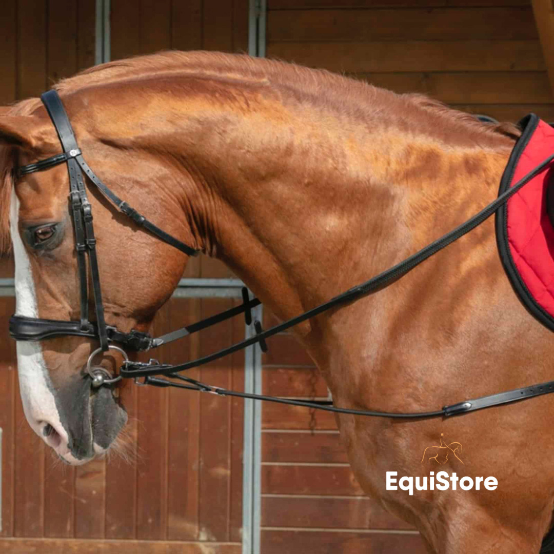 Norton Pro Elastic Reins with Pulley a training aid for horses