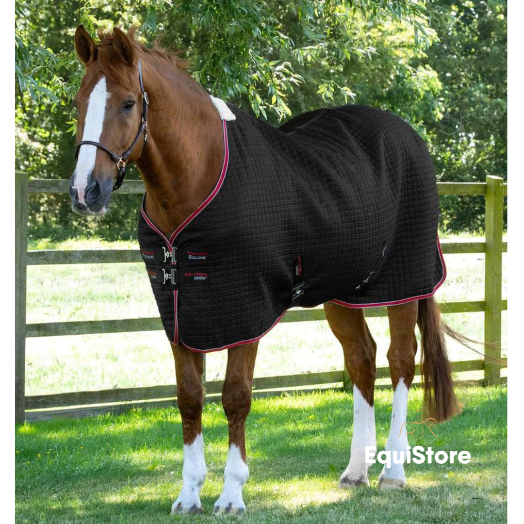 Premier Equine Dry-Tech Horse Cooler Rug in black