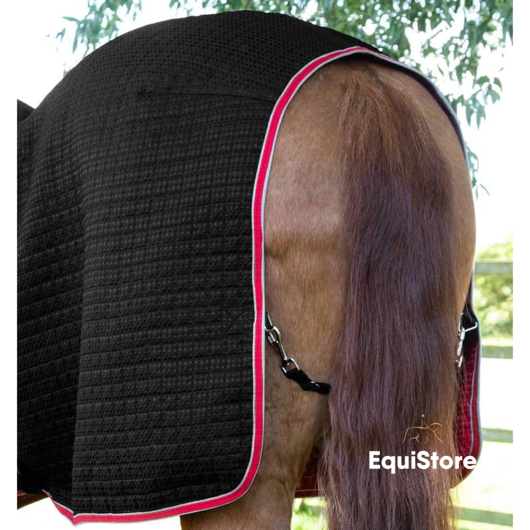 Premier Equine Dry-Tech Horse Cooler Rug in black