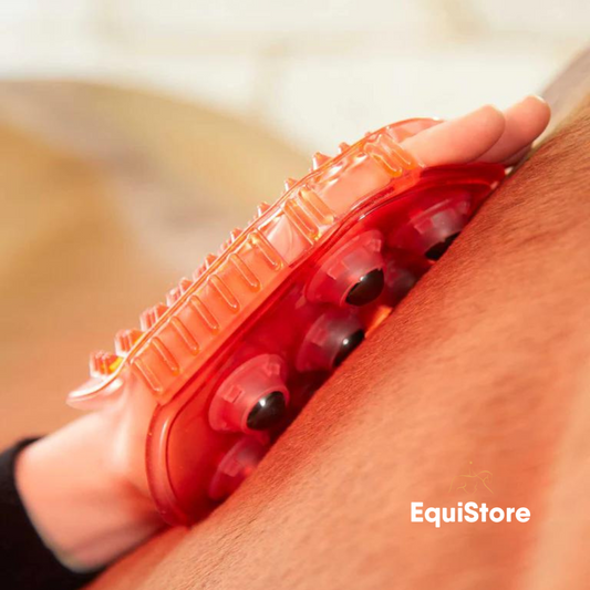 Premier Equine Magnetic Massage Mitt
