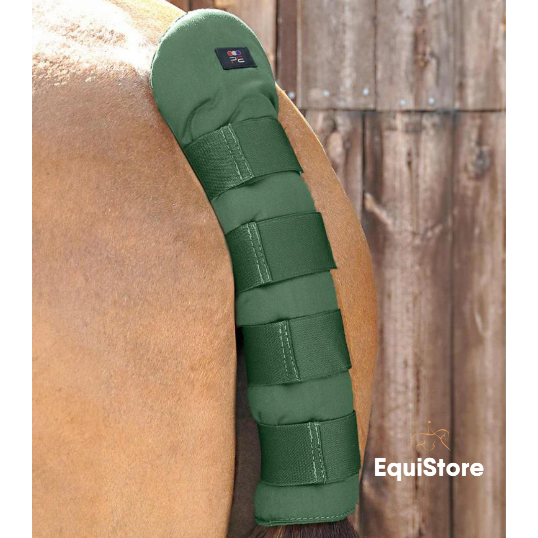 Premier Equine Stay Up Horse Tail Guard in green