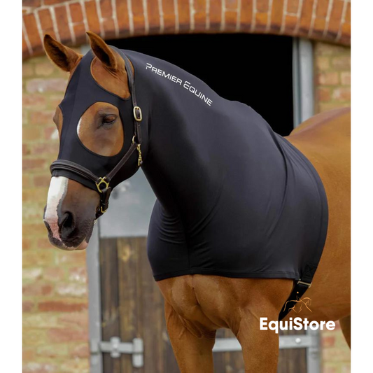 Premier Equine Stretch Lycra Hood for show horses