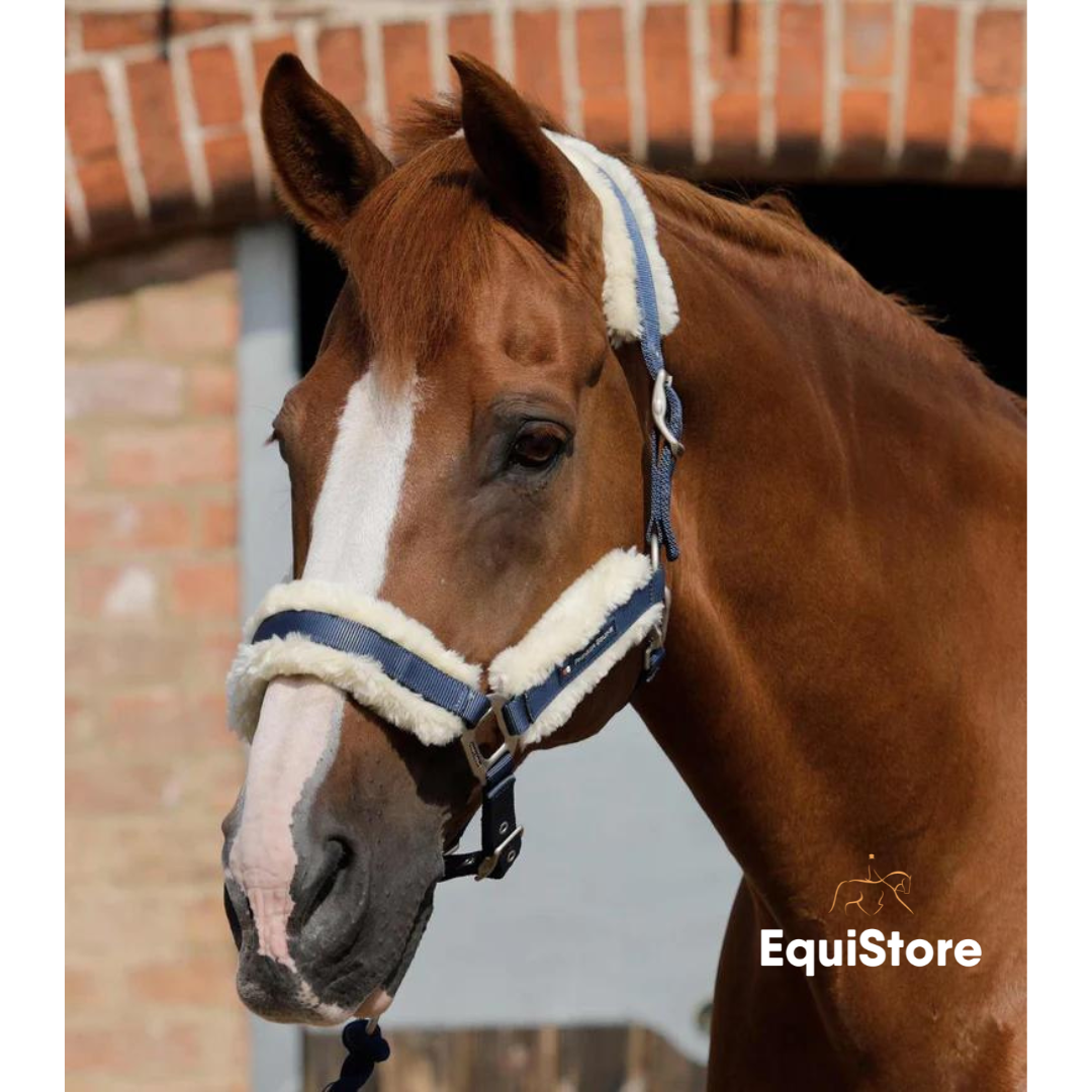 Premier Equine Techno Wool Headcollar for horses in navy 