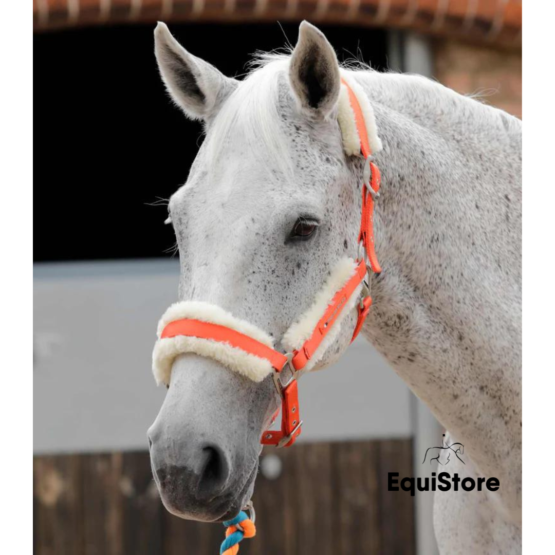 Premier Equine Techno Wool Headcollar for horses in orange