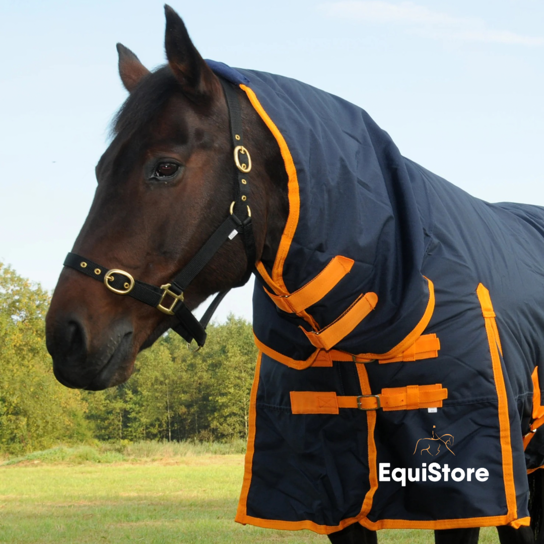 Turfmasters Arkle Heavyweight Turnout Rug for horses - Full Neck