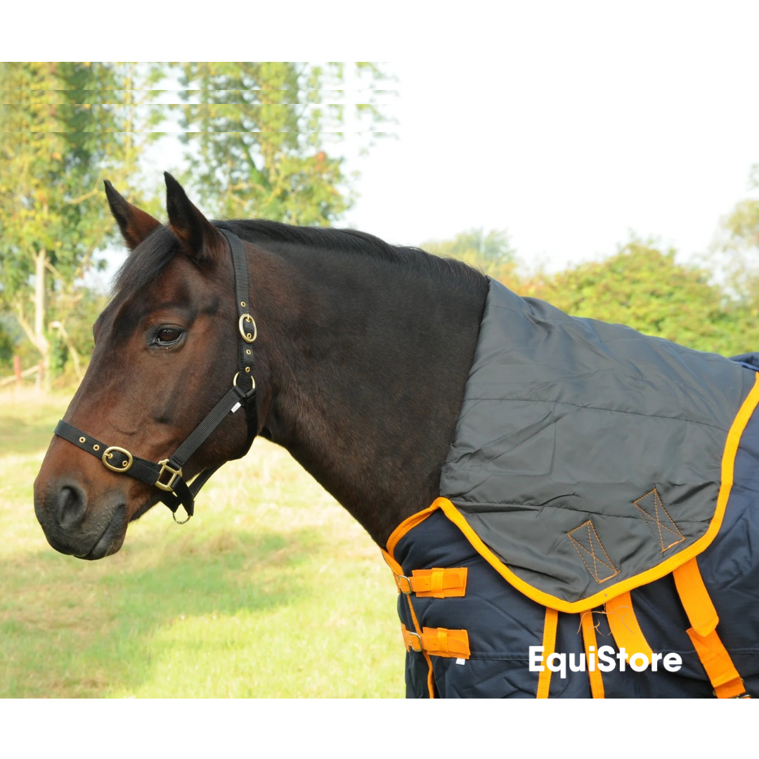 Turfmasters Arkle Heavyweight Turnout Rug for horses - Full Neck
