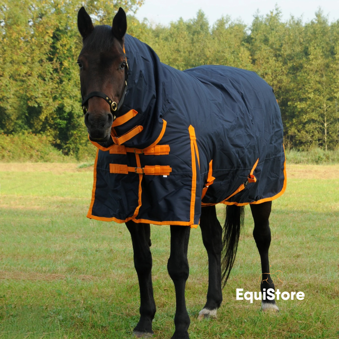 Turfmasters Arkle Heavyweight Turnout Rug for horses - Full Neck