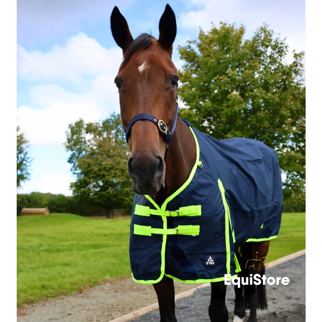 Turfmasters Arkle Lightweight Turnout Rug for horses - Standard Neck
