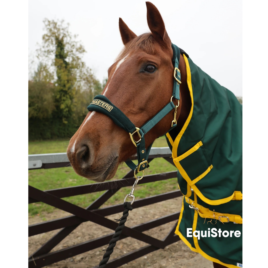 Turfmasters Vortex Turnout Combo Rug for horses 