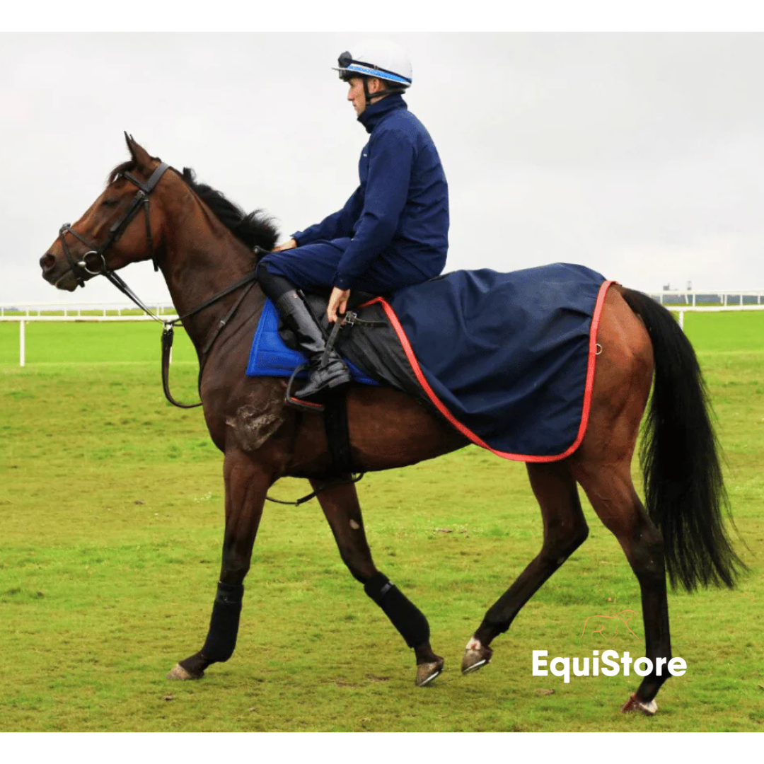 Turfmasters Waterproof Exercise Sheet for horses