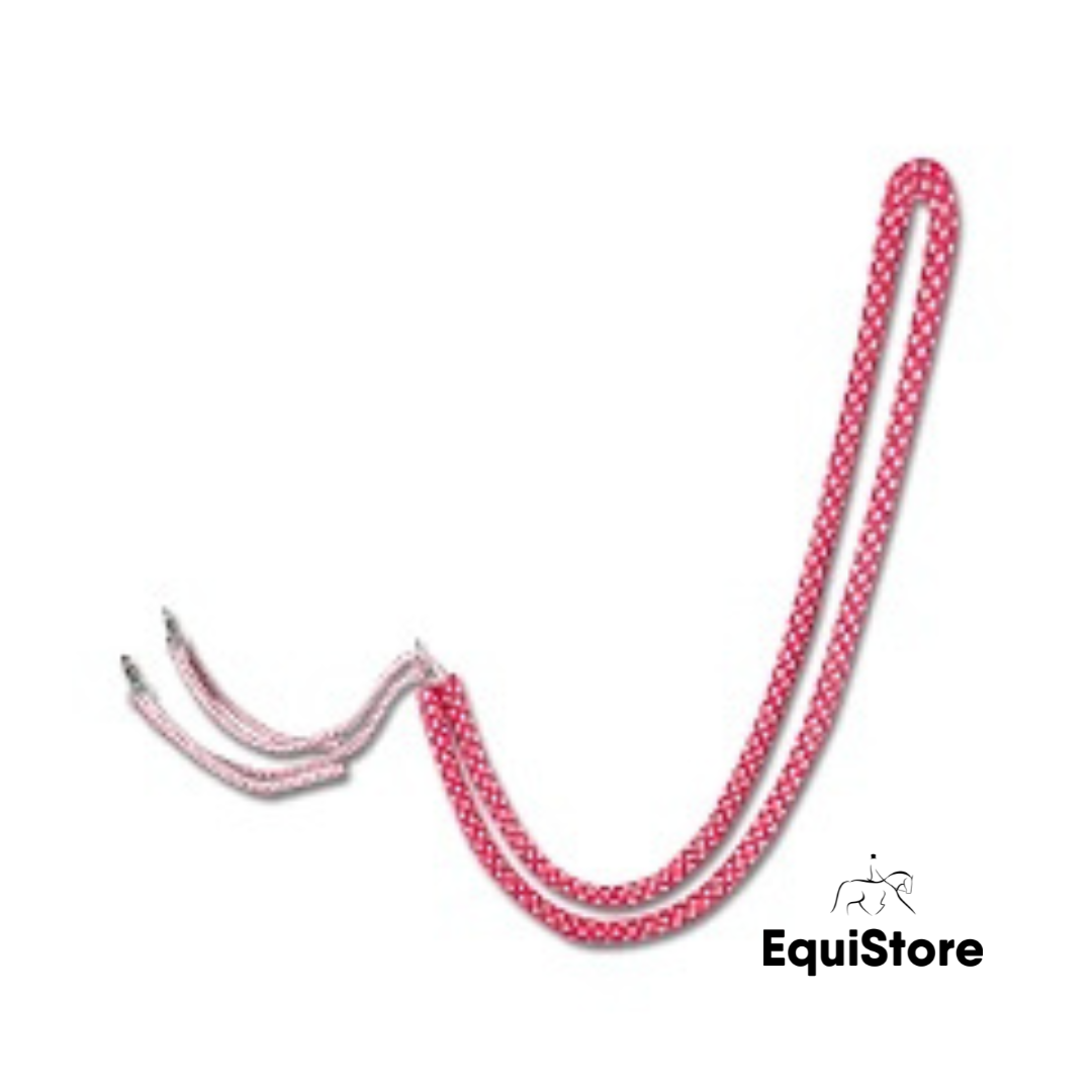 Waldhausen Lunging Aid for help lunging your horse or pony in the correct outline