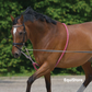 Waldhausen Lunging Aid for help lunging your horse or pony in the correct outline