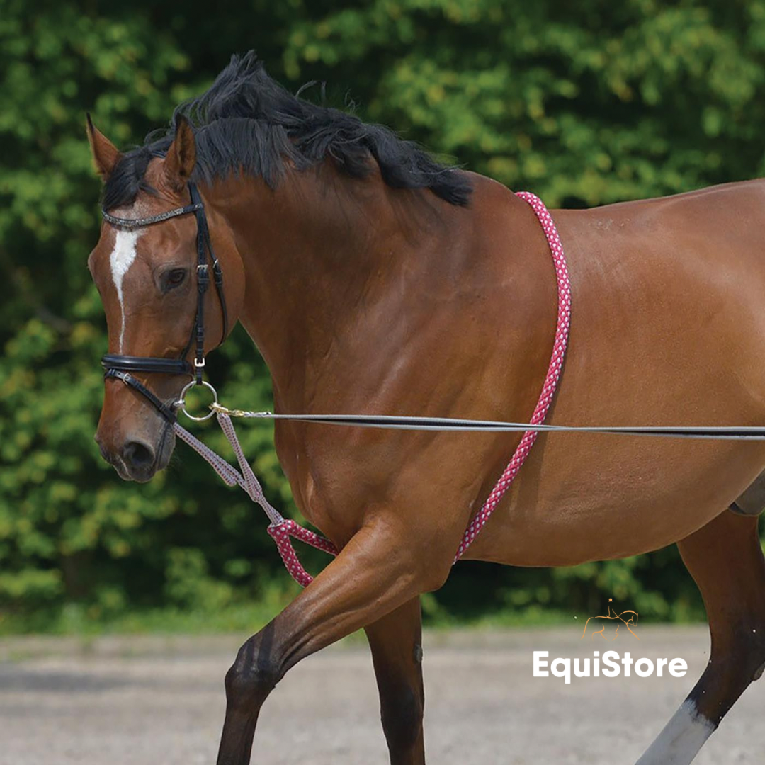 Waldhausen Lunging Aid for help lunging your horse or pony in the correct outline