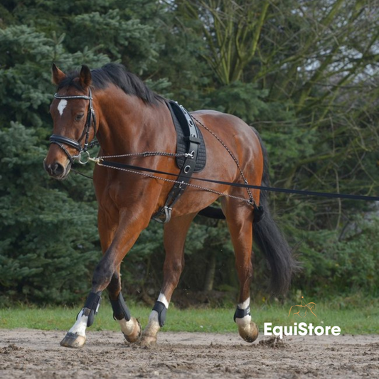 Waldhausen soft lunging roller for breaking in and training horses