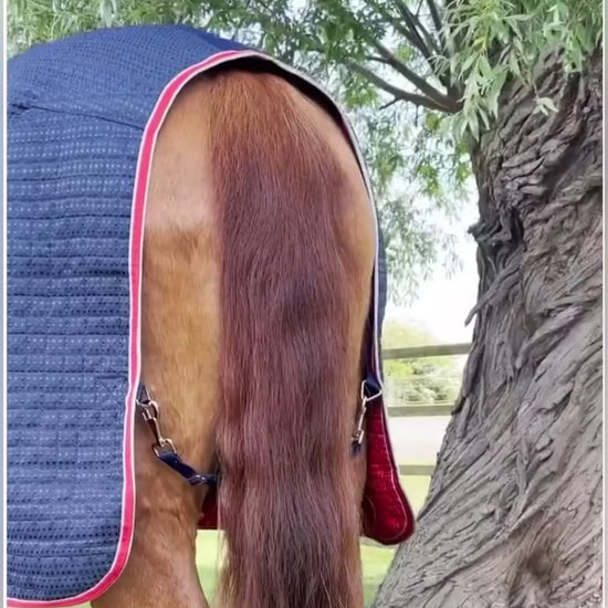 Premier equine dry tech horse cooler, a short video showing features of this rug 