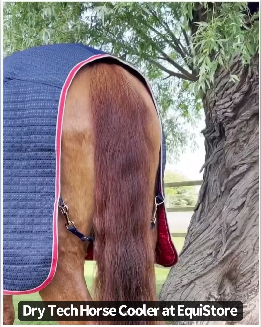 Premier equine dry tech horse cooler, a short video showing features of this rug 