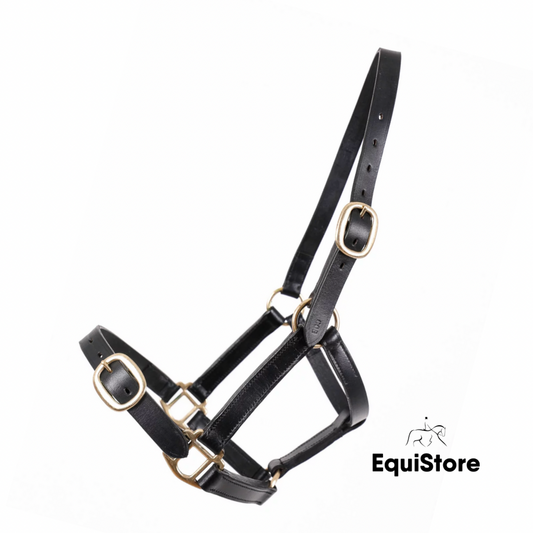 Breeze Up Latigo Leather Headcollar