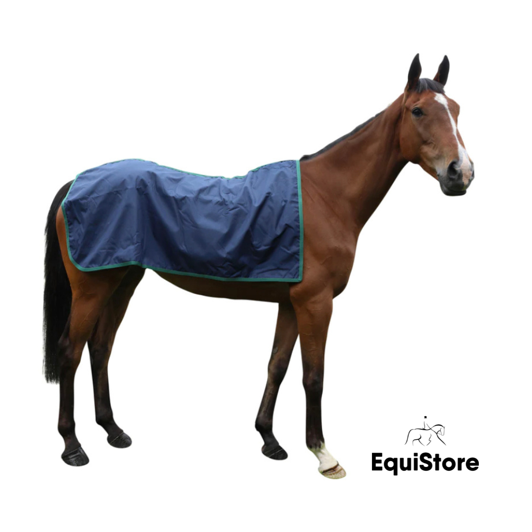 Breeze Up Waterproof Exercise Sheet for horses.