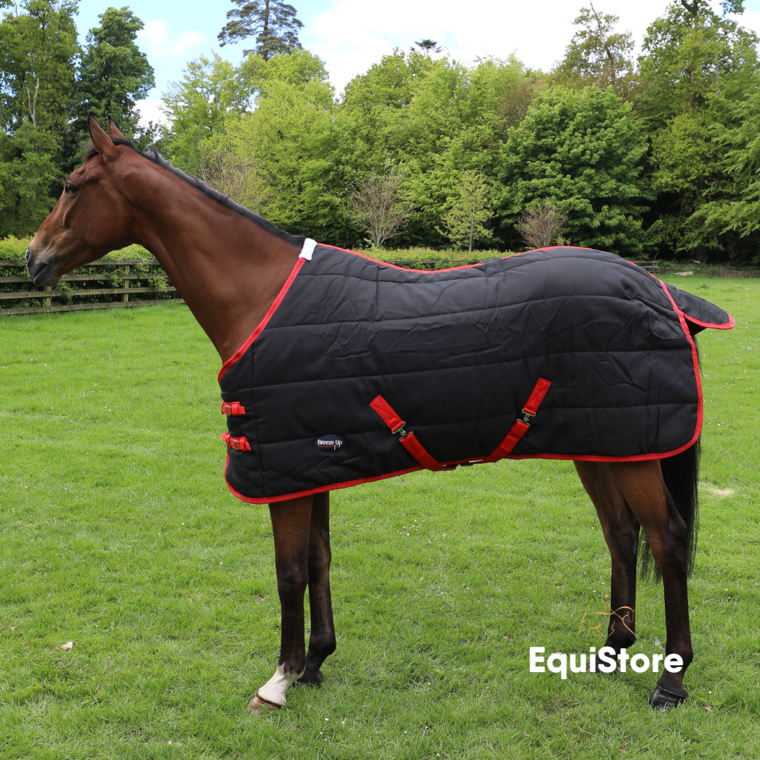 Celtic Equine premium heavyweight stable rug for horses