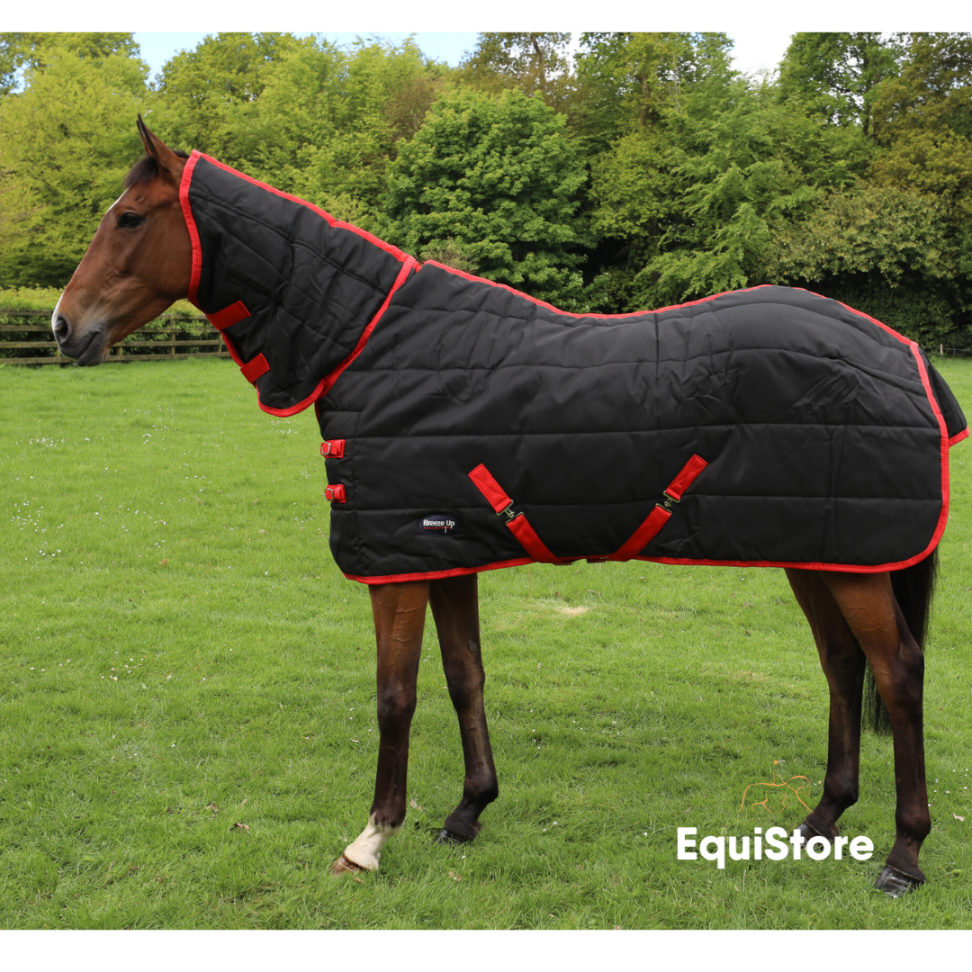 400g Stable Rug Celtic Equine Breeze Up Stable Rug - Full Neck 400g – EquiStore