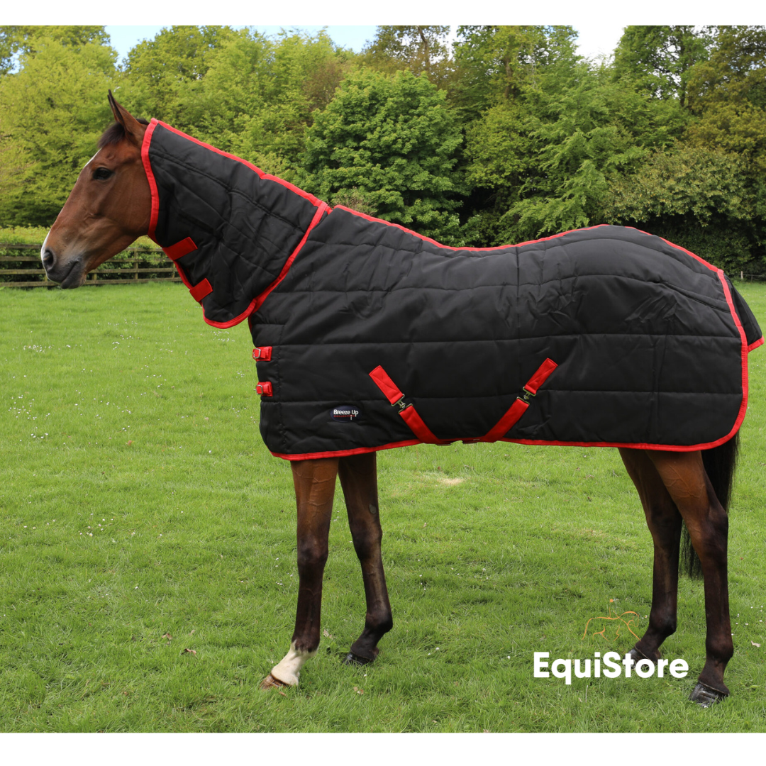 Celtic Equine Breeze Up stable rug for horses. Full neck stable rug.