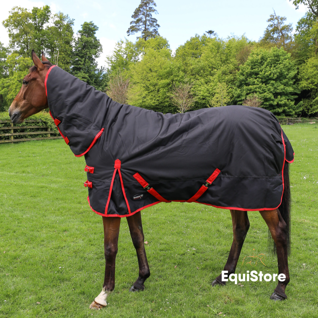 heavyweight full neck turnout rug for horses from Celtic Equine. Breeze Up Turnout Rug