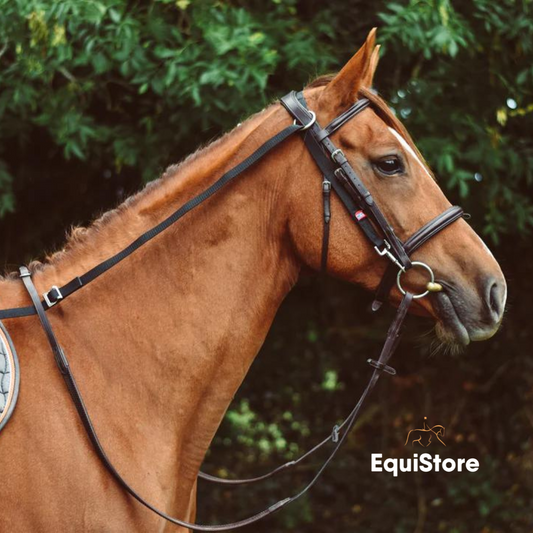 EquiSential Anti Grazing Reins for horses