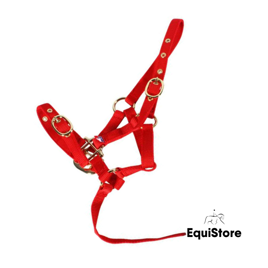 EquiSential Nylon Foal Headcollar
