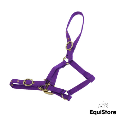 Mackey EquiSential Nylon Headcollar in purple