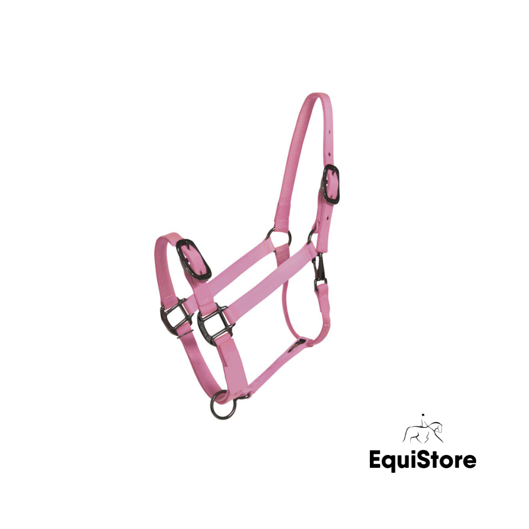 Mackey EquiSential Nylon Headcollar in pink