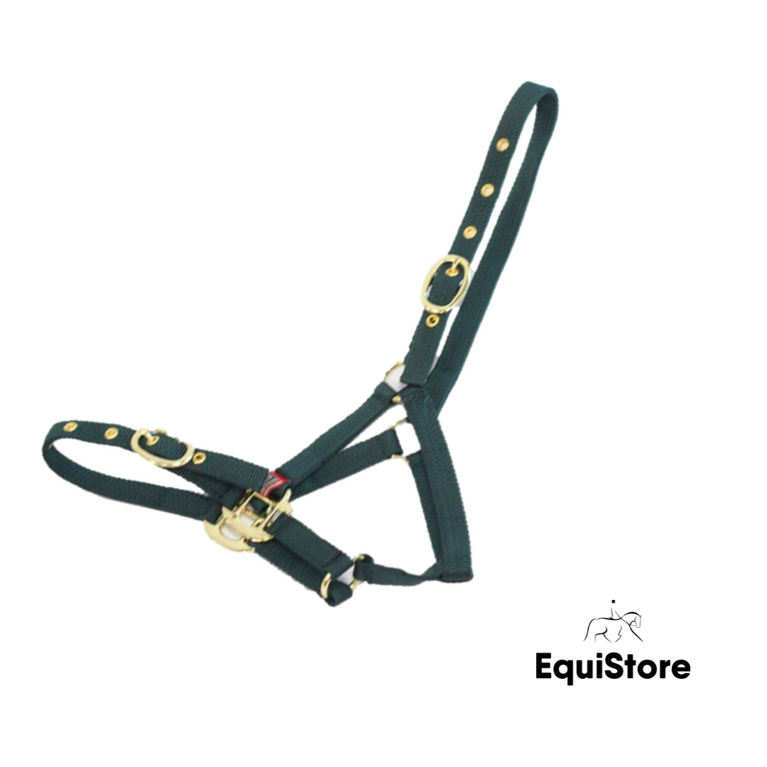 Mackey EquiSential Nylon Headcollar in green