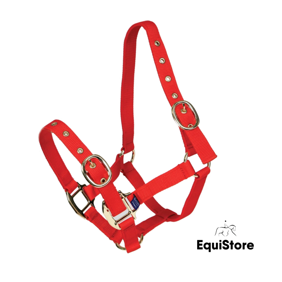 Mackey EquiSential Nylon Headcollar in Red