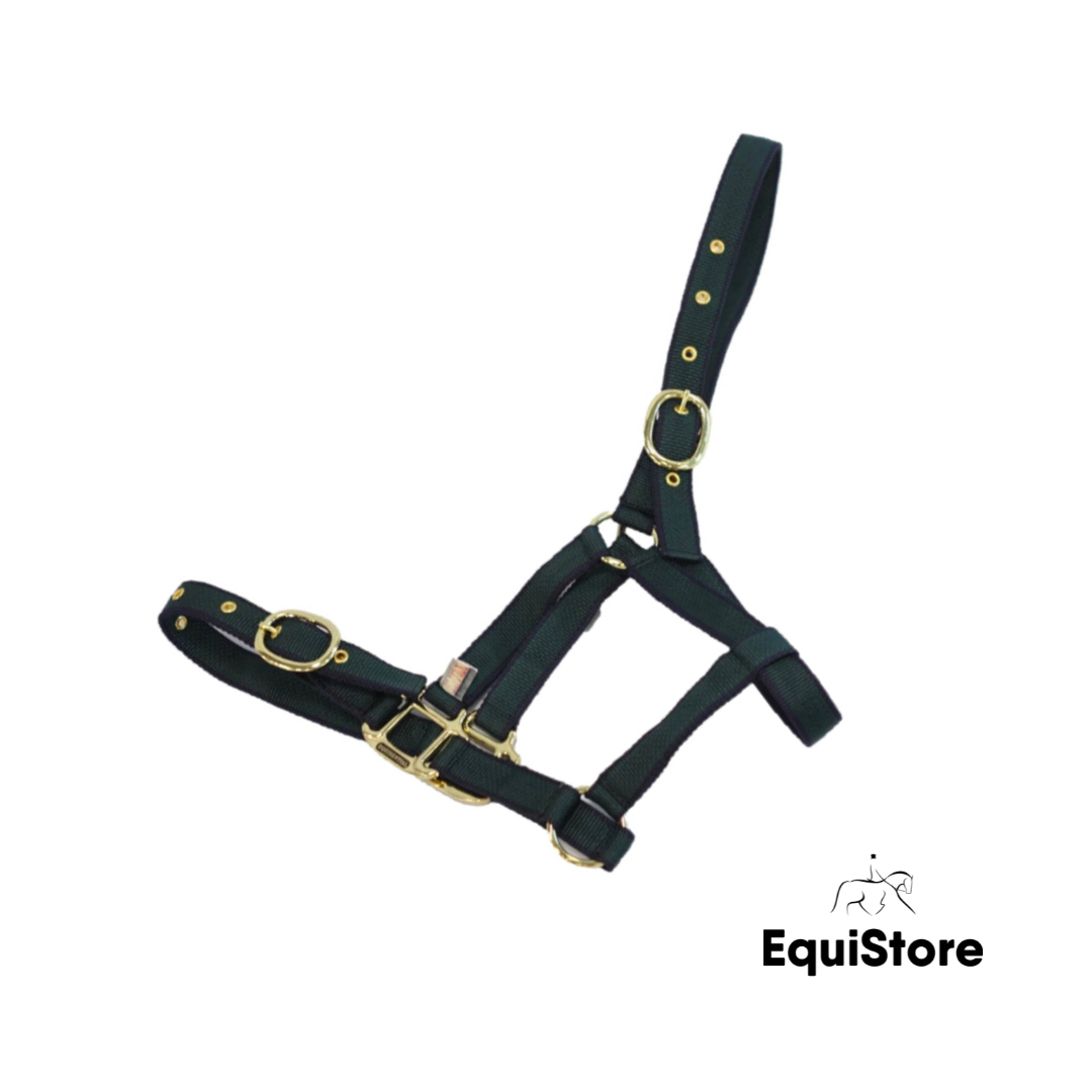 Mackey EquiSential Nylon Headcollar in Green and Navy