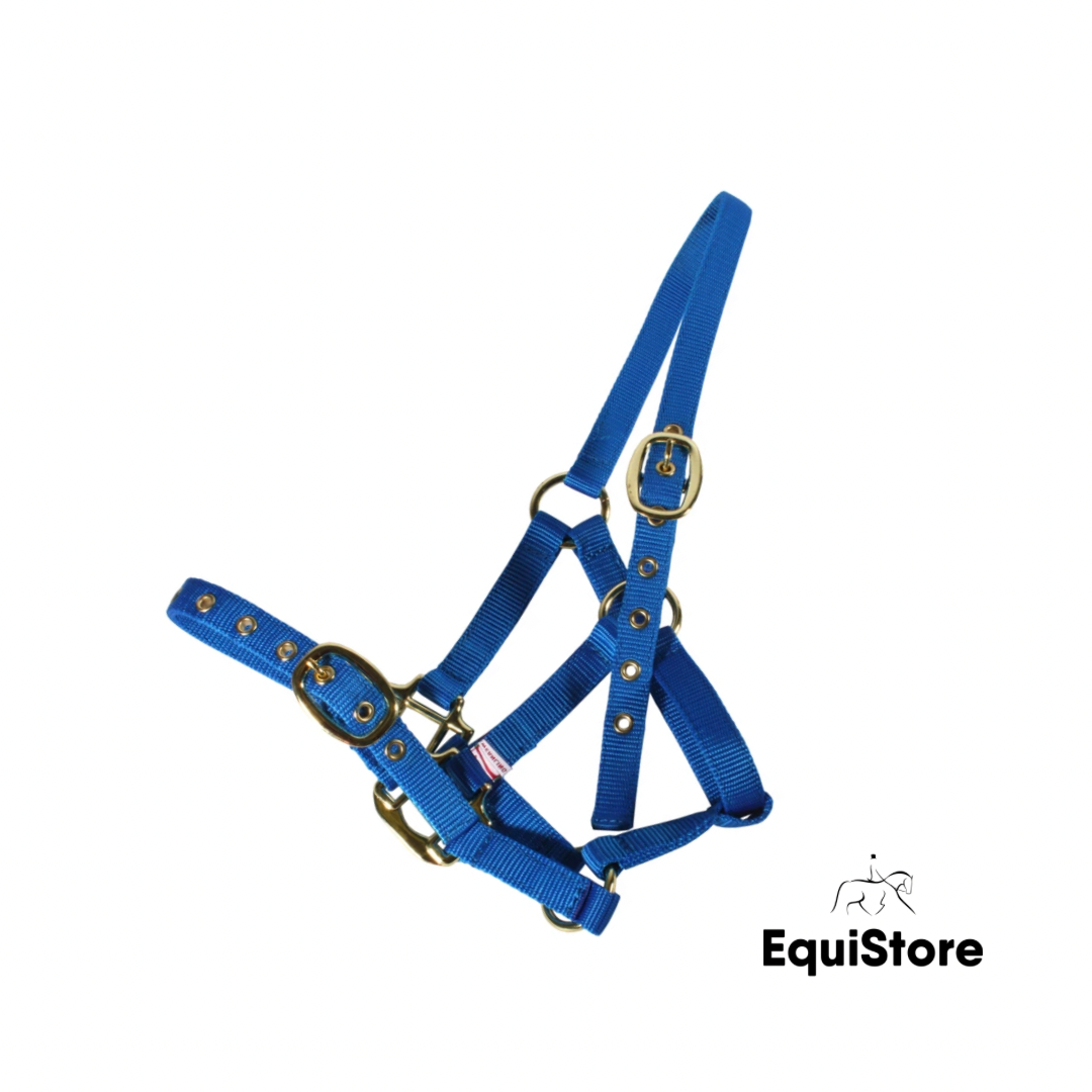 Mackey EquiSential Nylon Headcollar in Royal Blue