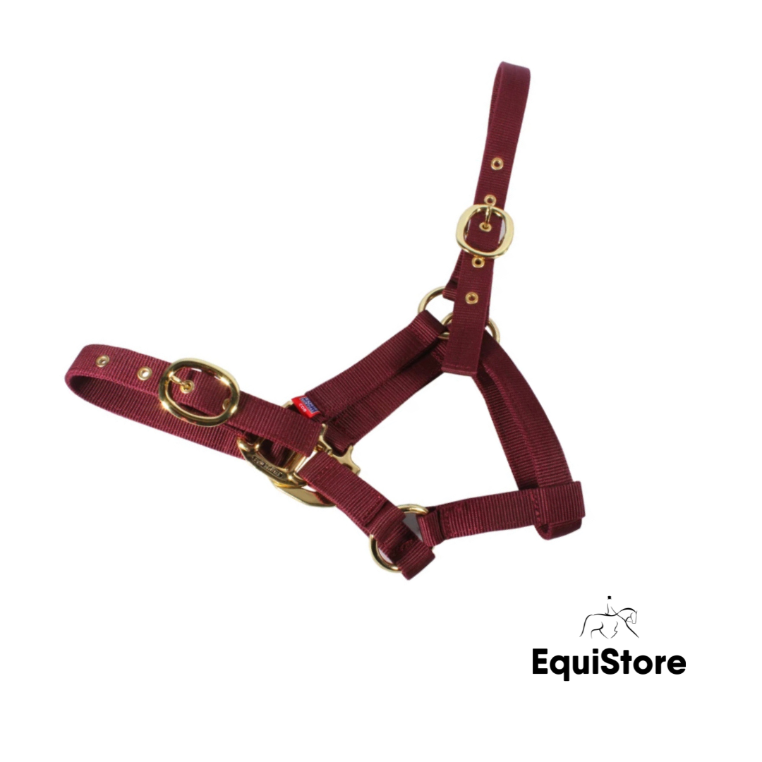 Mackey EquiSential Nylon Headcollar in burgundy