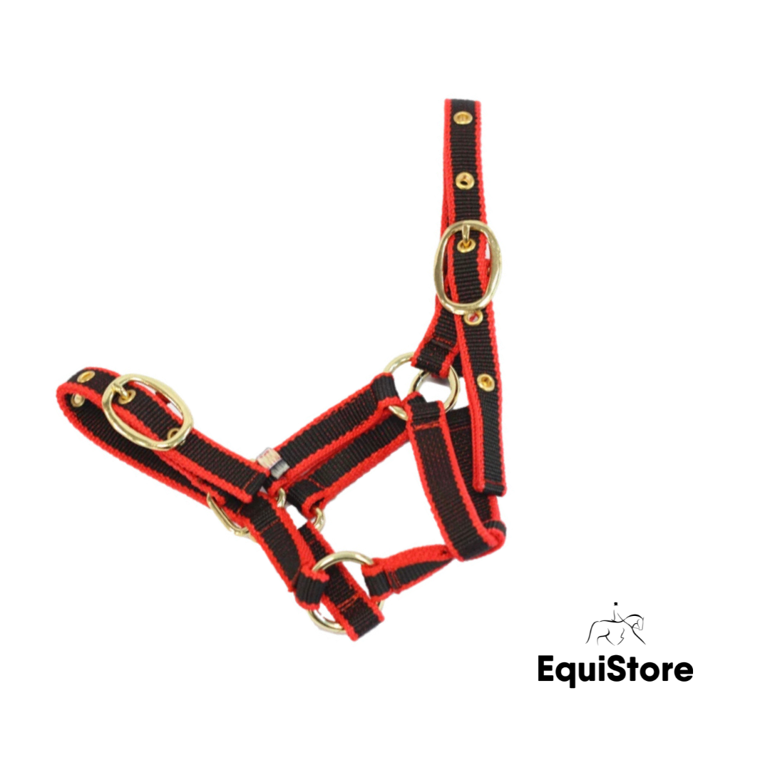 Mackey EquiSential Nylon Headcollar in red and black