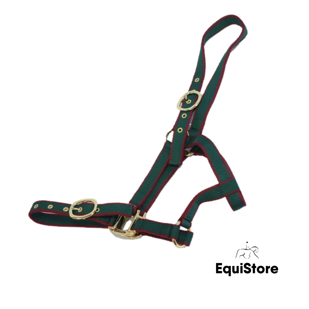 Mackey EquiSential Nylon Headcollar in green and burgundy